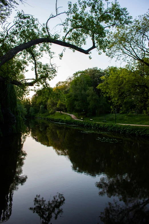 a quiet river flows through a city park