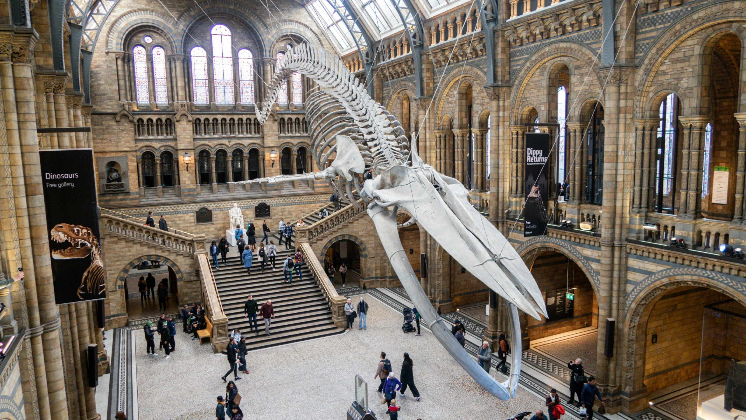 a large animal skeleton with bones in a museum