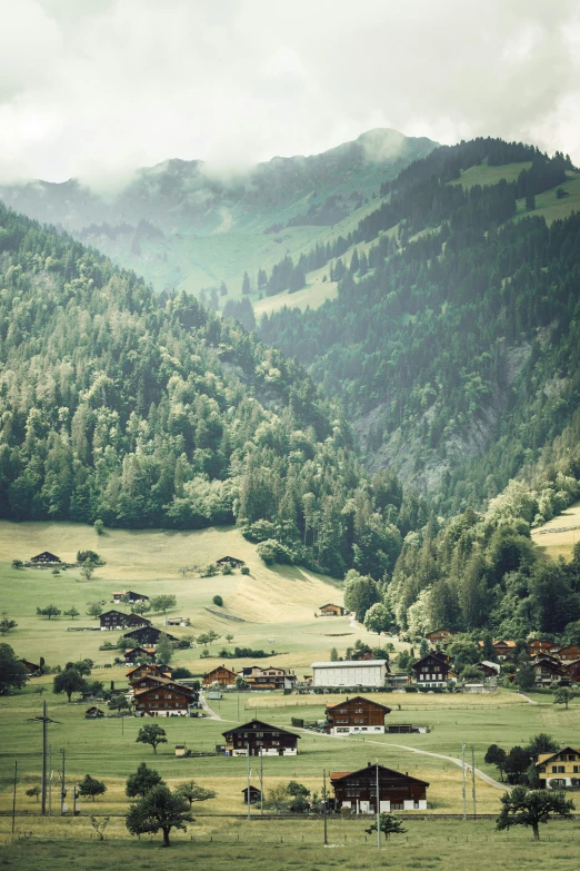 the grassy field is full of small, rural town houses