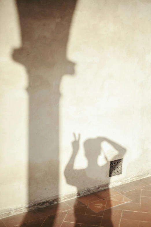 a shadow of a man holding a baseball bat