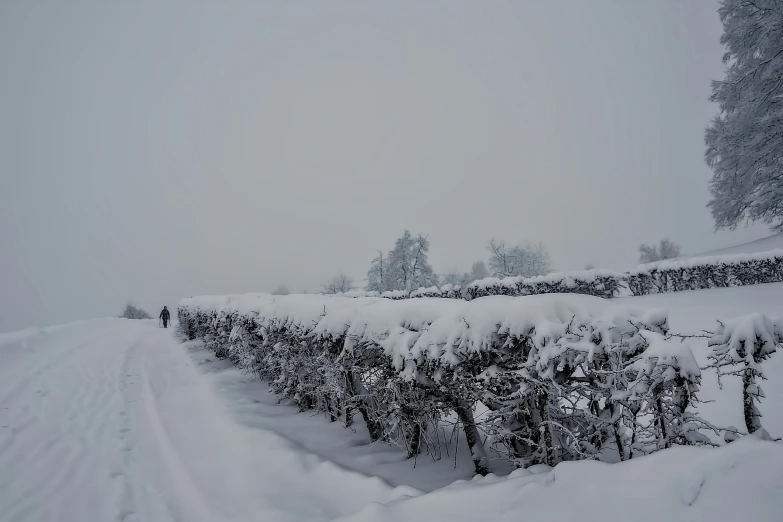 a snow covered road in front of some bushes