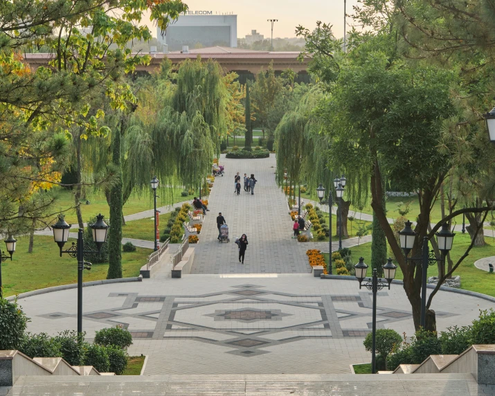 several people are walking up an area that has many trees