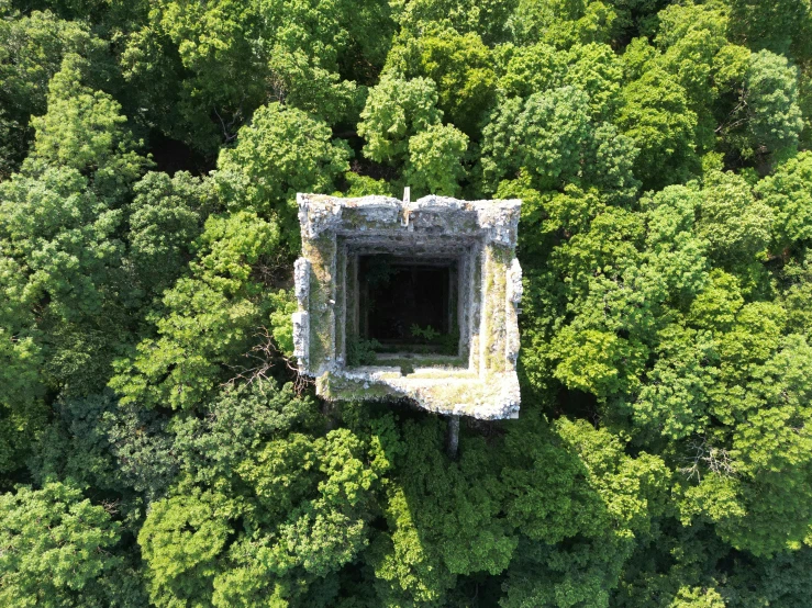 an empty stone structure in the middle of the woods