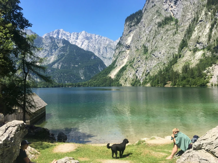 a man and his dog near the lake