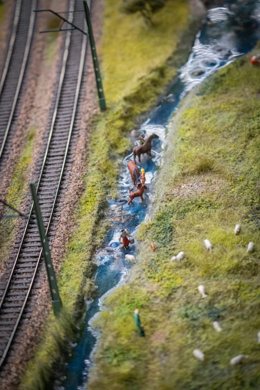 two trains are running through the grass next to tracks