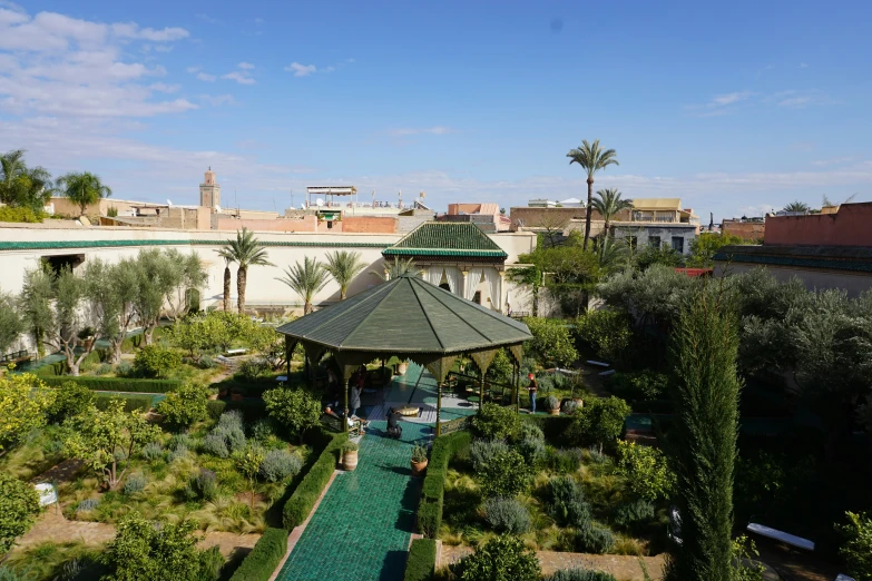 a nice courtyard with many different plants