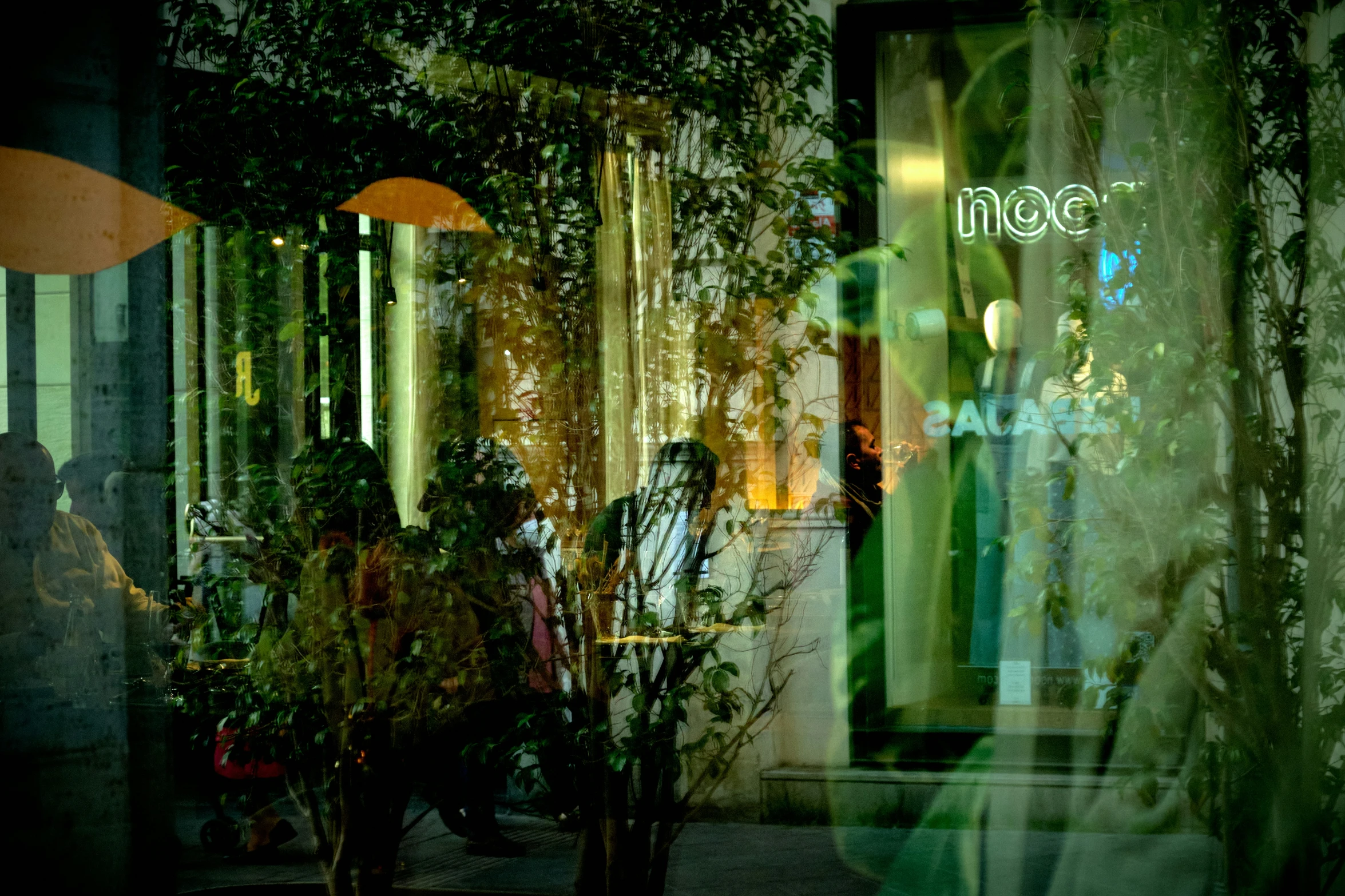 outside shop with plants next to a large window