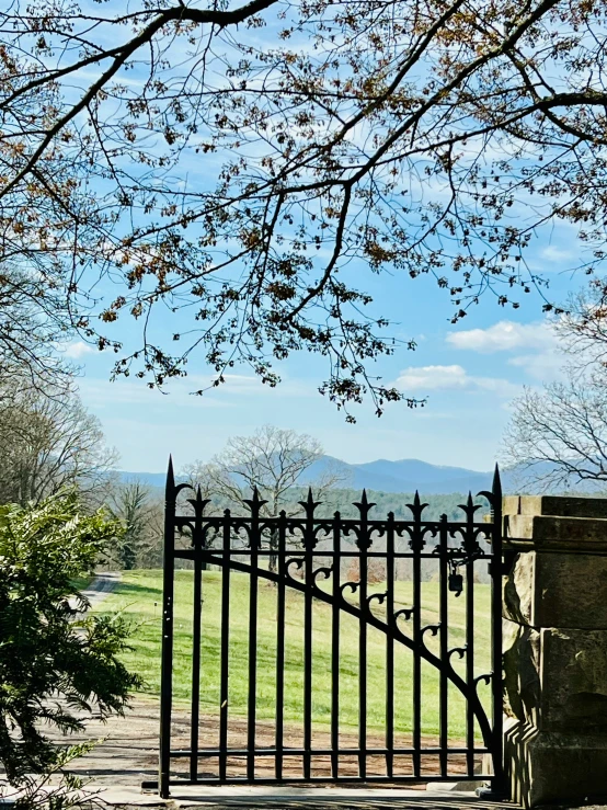 a iron gate that is next to some rocks and a tree