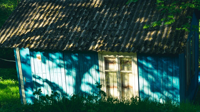 the shadow of an old cottage in front of a tree