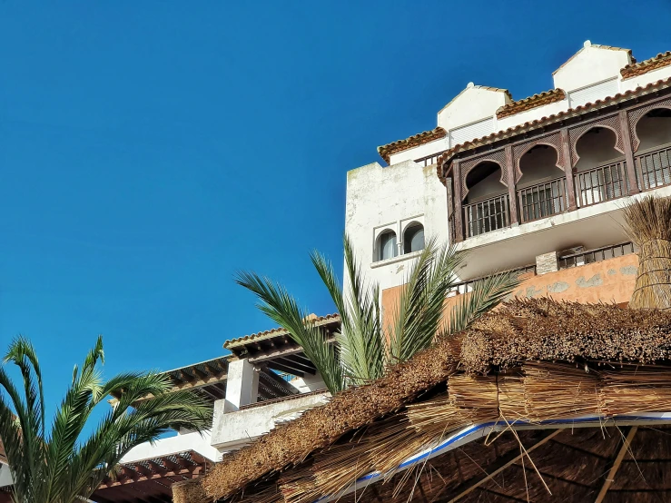 some buildings with a clock and a palm tree