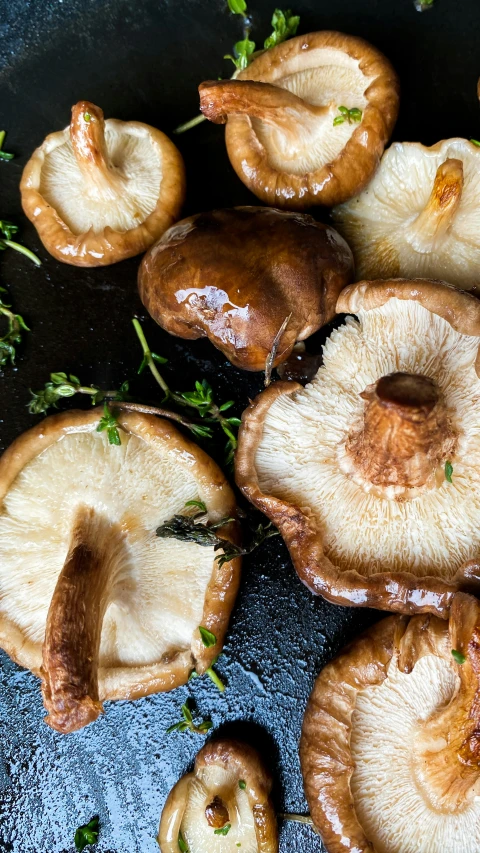 a bunch of mushrooms that are on a pan