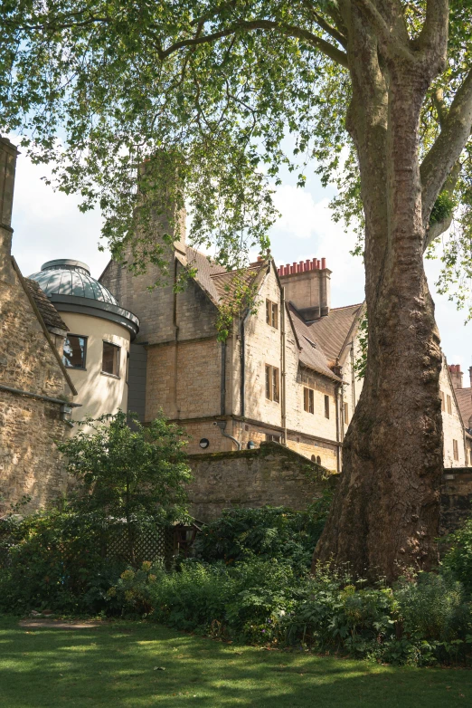 the trees are beside of the building where it's located