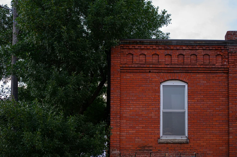 red brick building in the foreground and a tall tree in the background