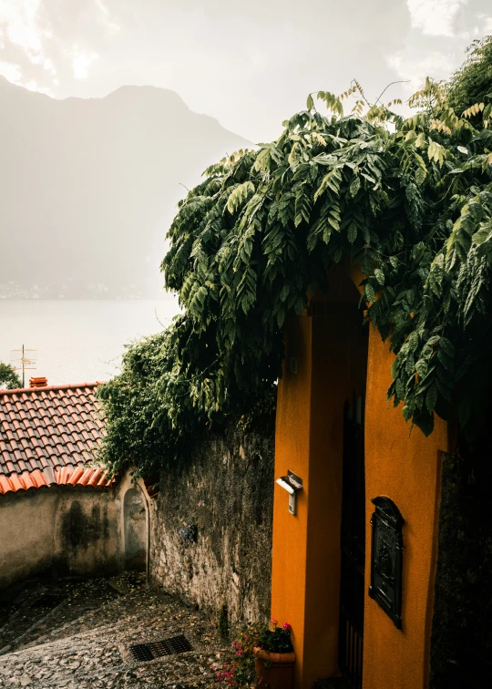 a small building with vines on the roof and a body of water in the distance