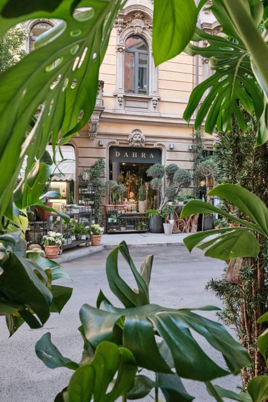 this courtyard is covered with several plants, including some plants