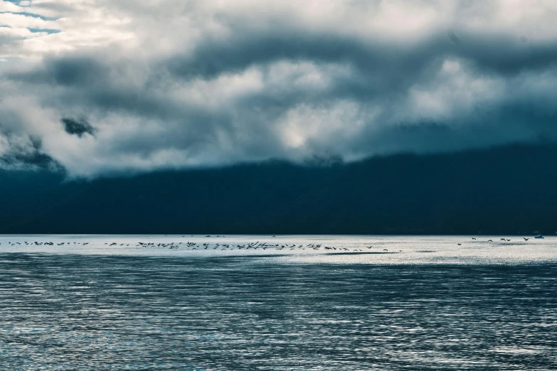 a large body of water with lots of birds on it