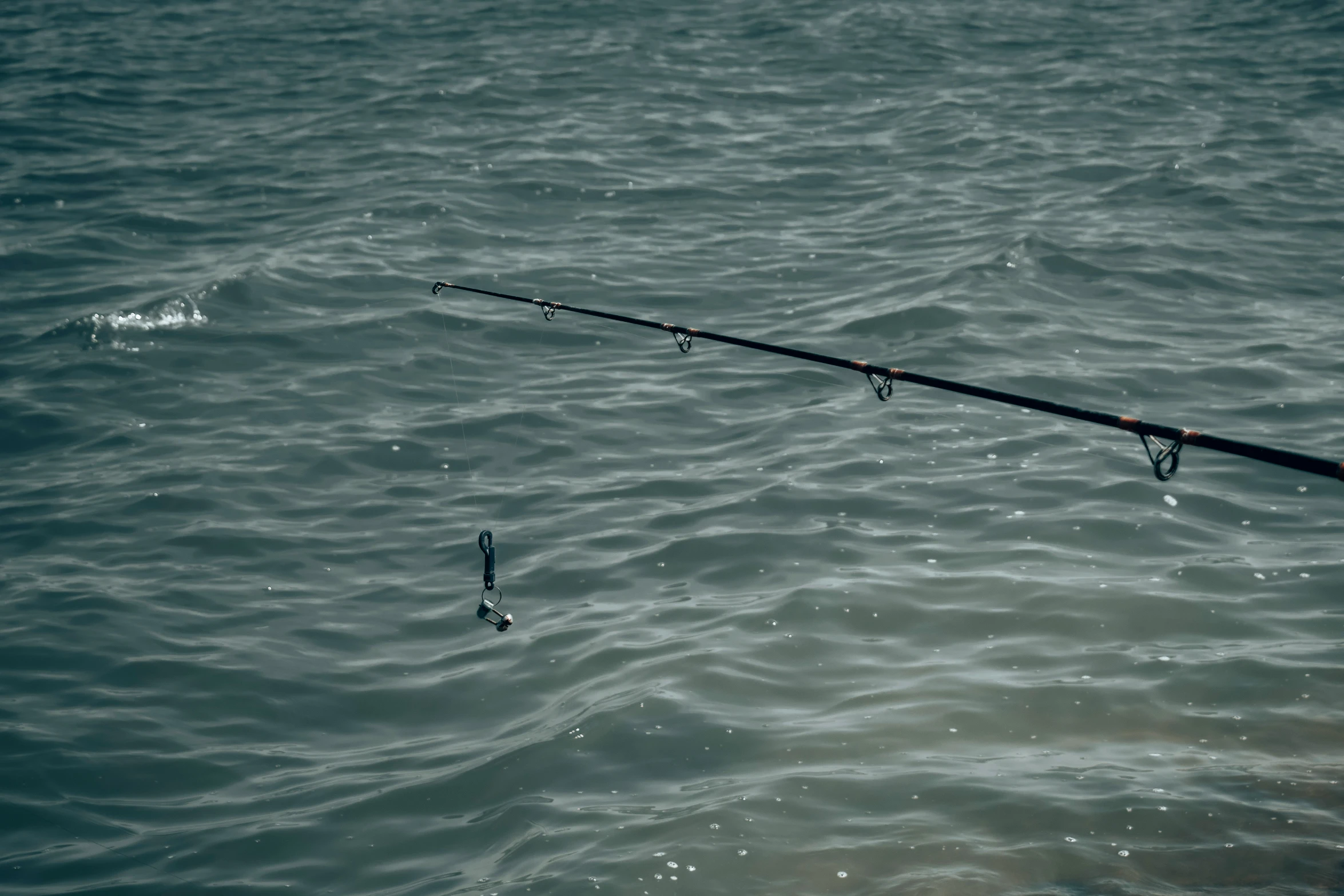 fishing rods are attached to an extended pole floating in the water
