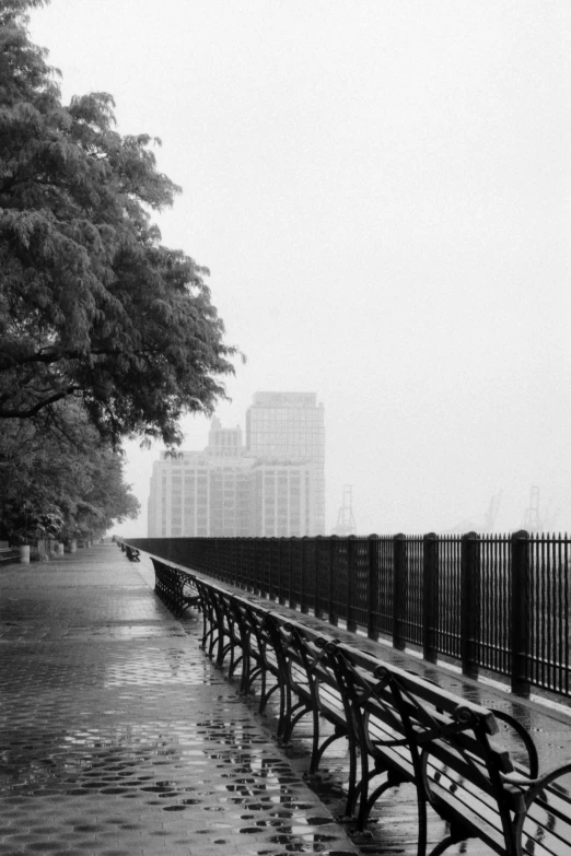 a park with a row of benches covered in rain