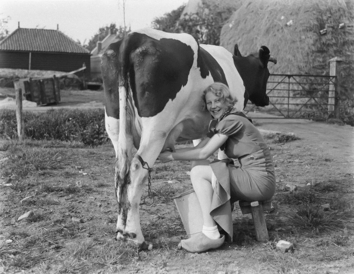 old woman kneels next to a black and white cow