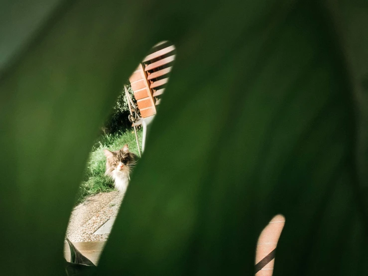 green plant grows out of the top of a fork