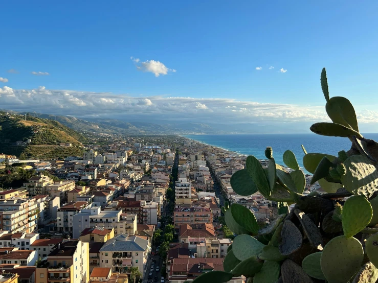 this is a view of a city next to the ocean