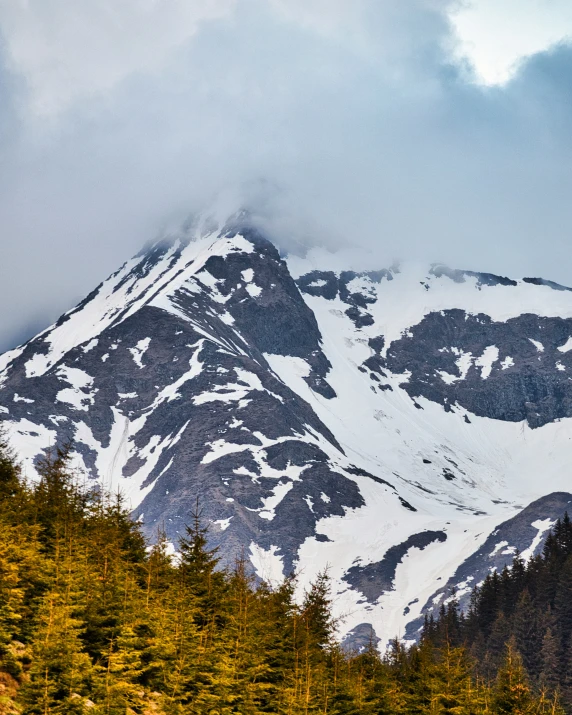 a snowy mountain with snow on the top and pine trees below