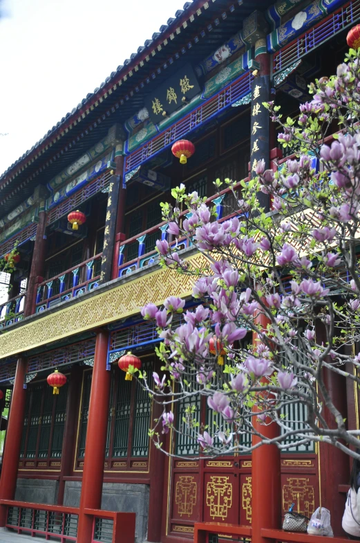 some tall red and green buildings with flowers growing out of them