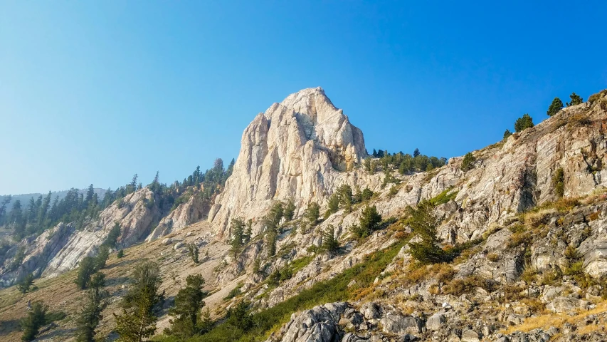 trees near the mountain top are growing