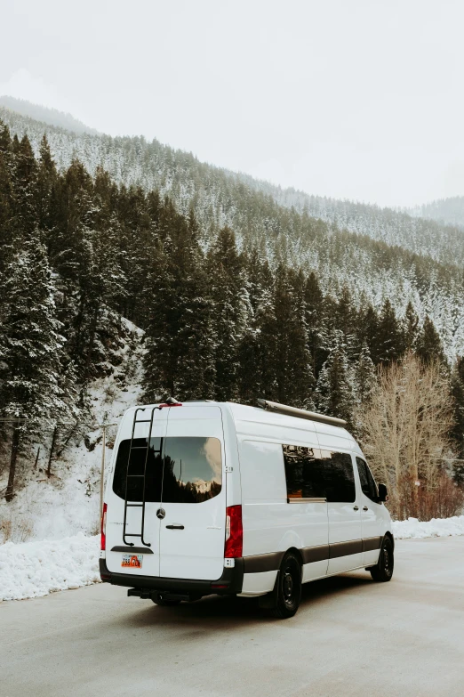 white van parked on the side of the road near trees