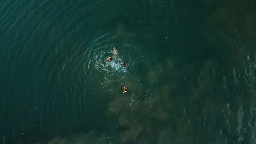 two people swimming in a body of water