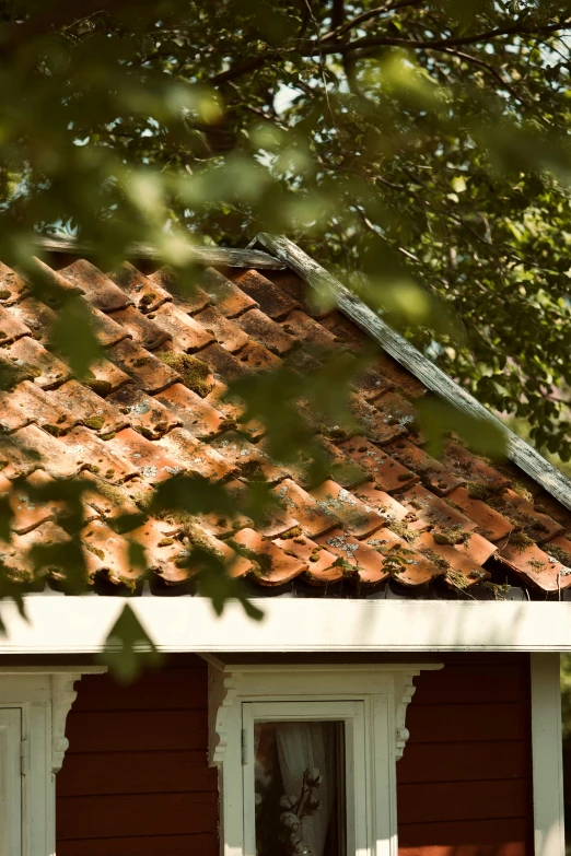 a red house with a white window sitting underneath a green tree