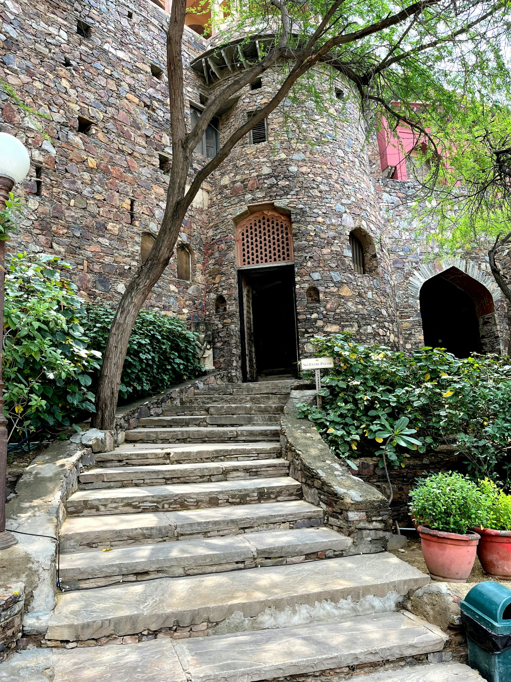 a stone stairway has many plants near it