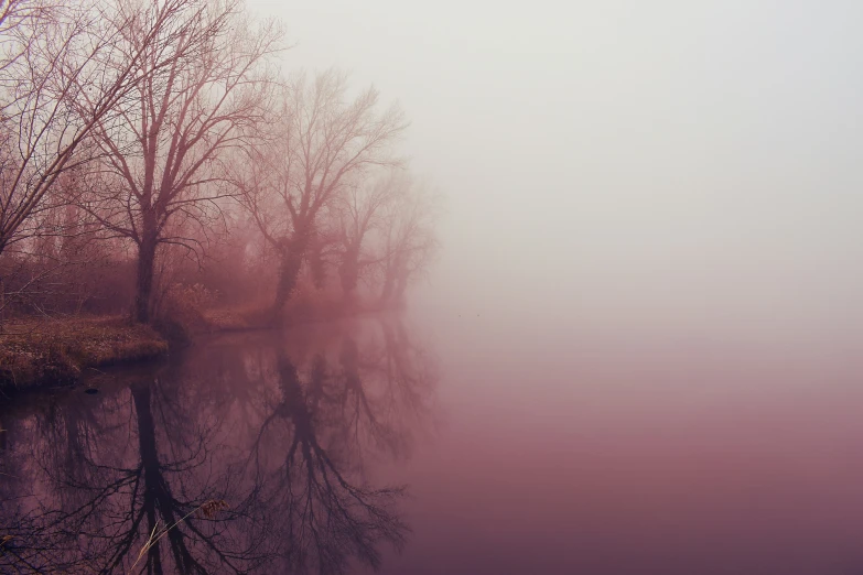 an area with trees and water in the mist