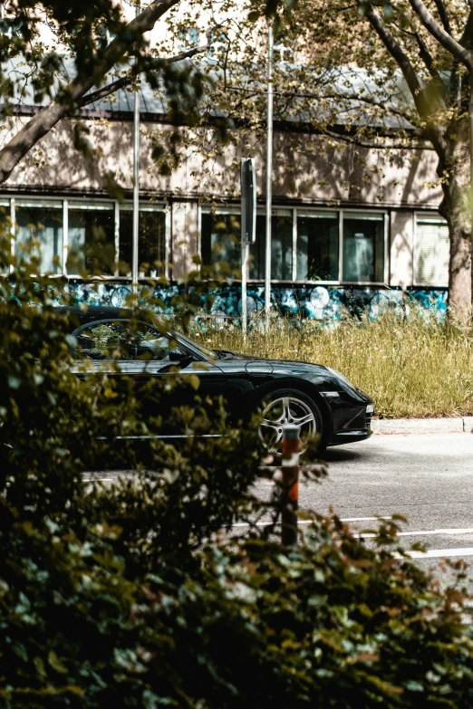 cars parked outside a building near tall grass