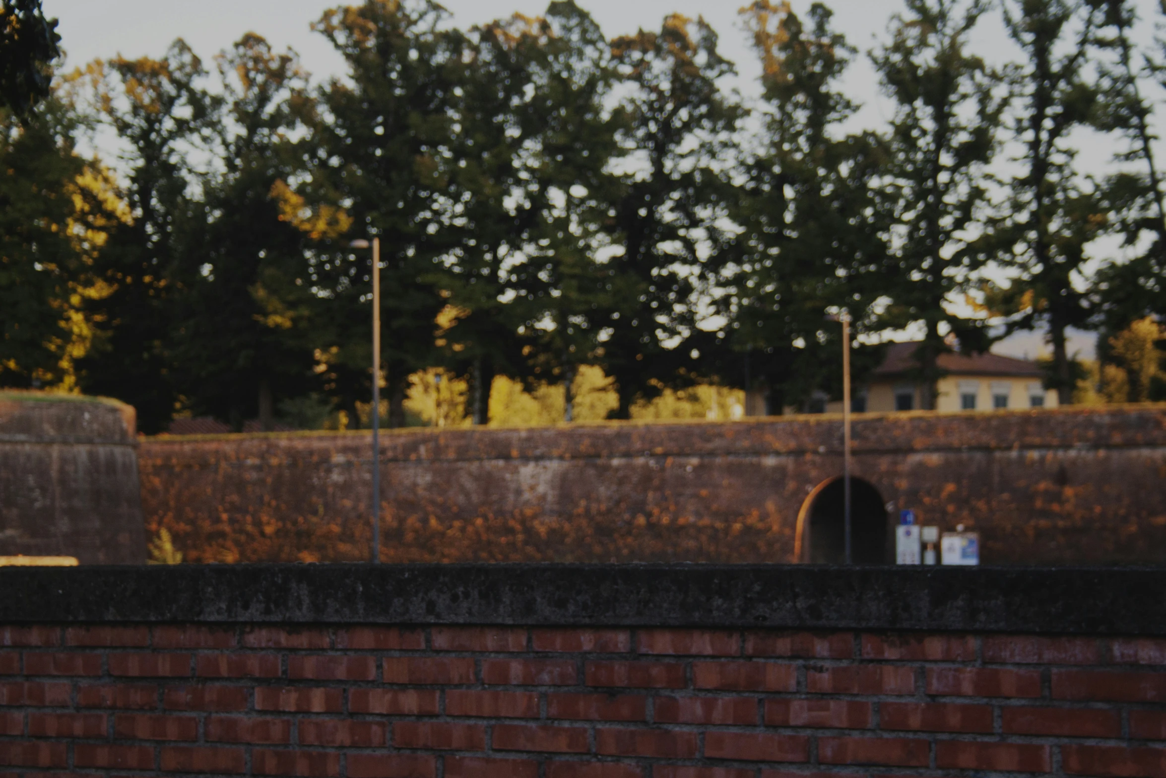 a brick wall with a couple bottles and a building in the background