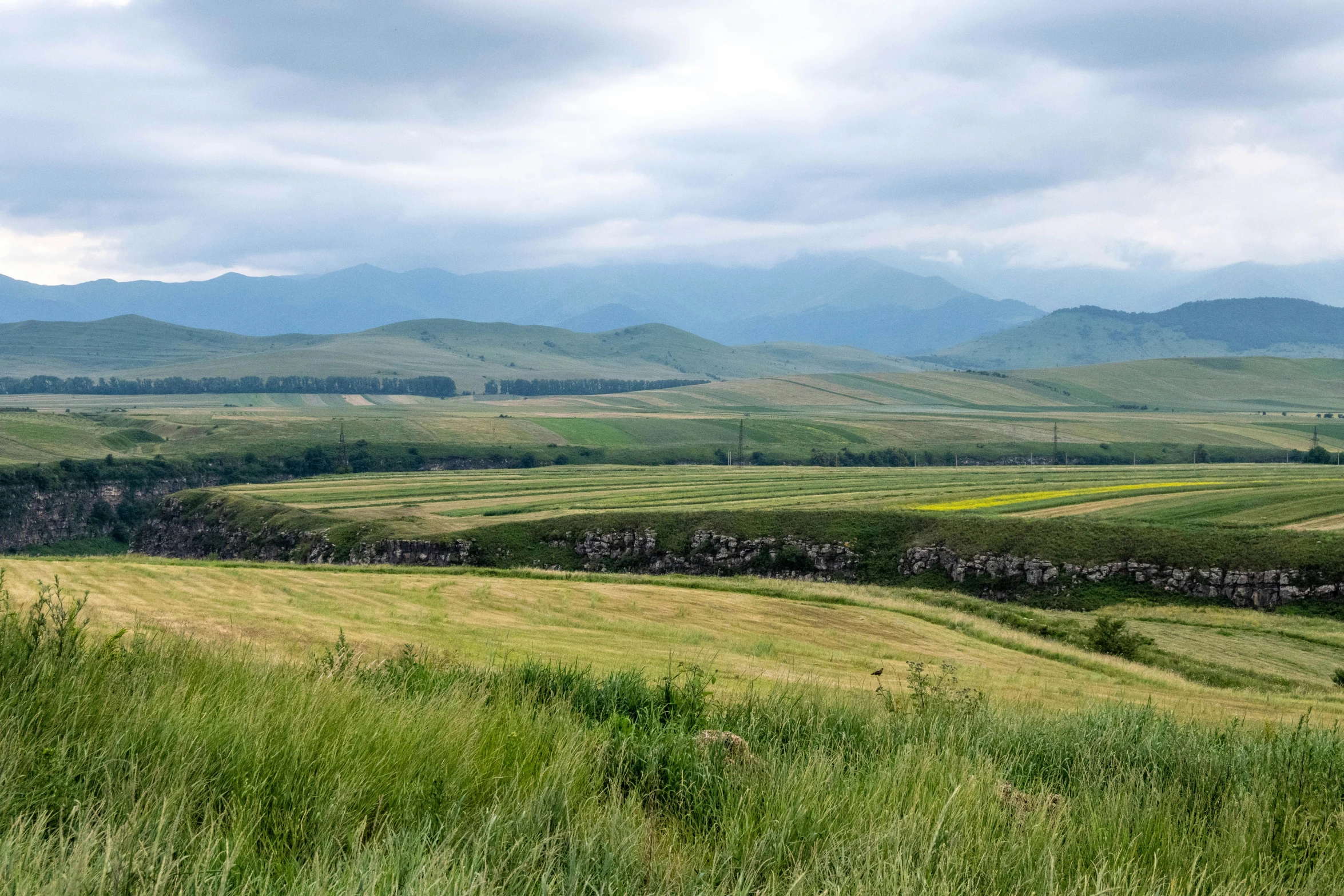 a po of a grassy area with hills in the background