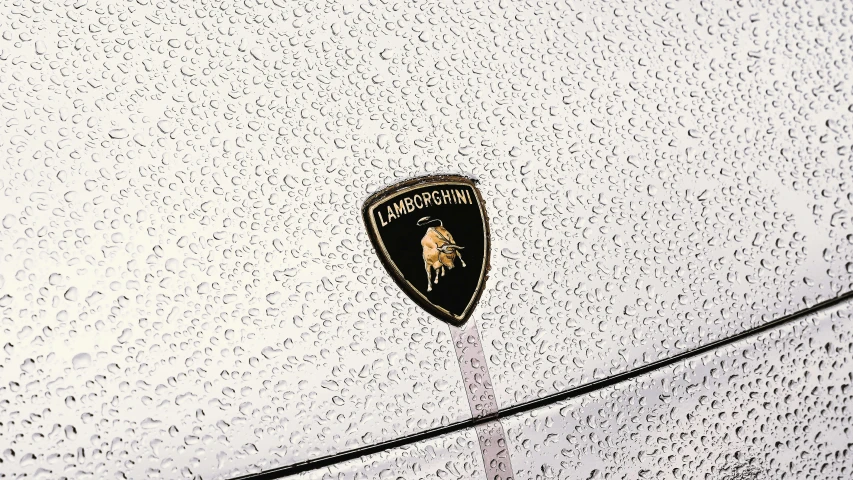 a lamb logo is shown on a wet white car