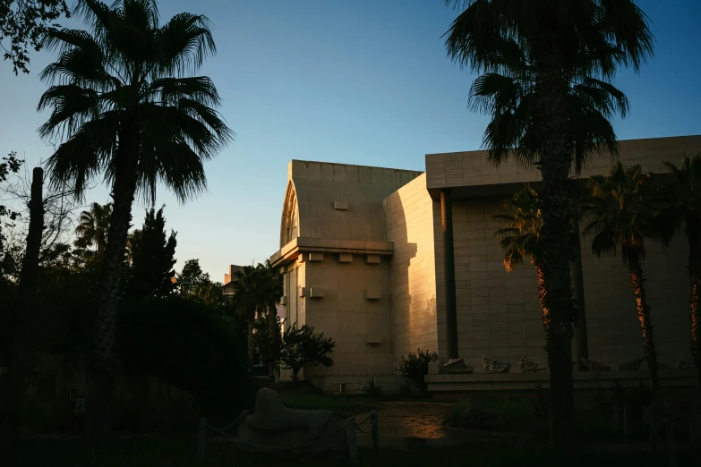 view of palm trees outside of an apartment