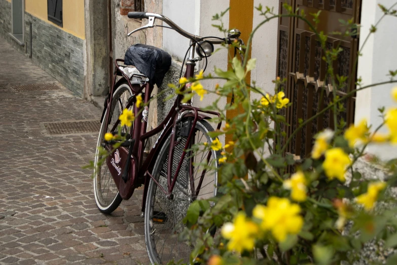 a bike that is leaning up against a wall