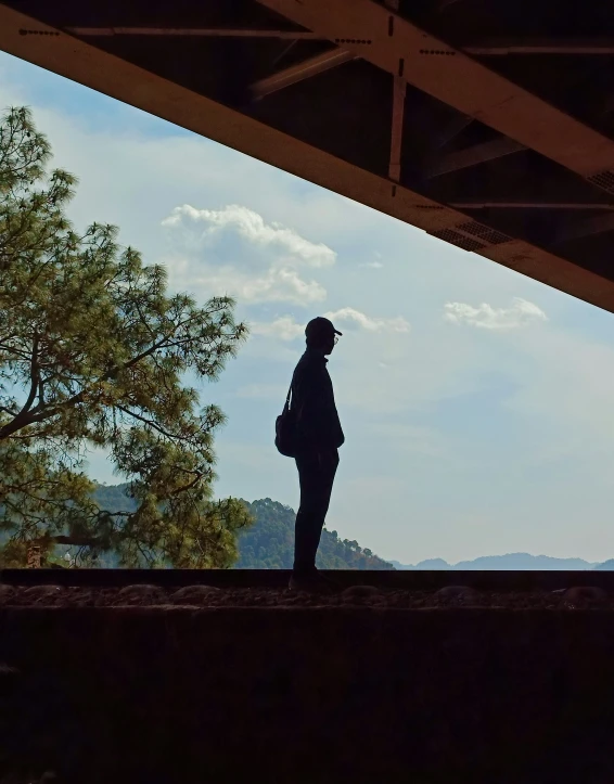 silhouette of person holding purse on balcony over looking water