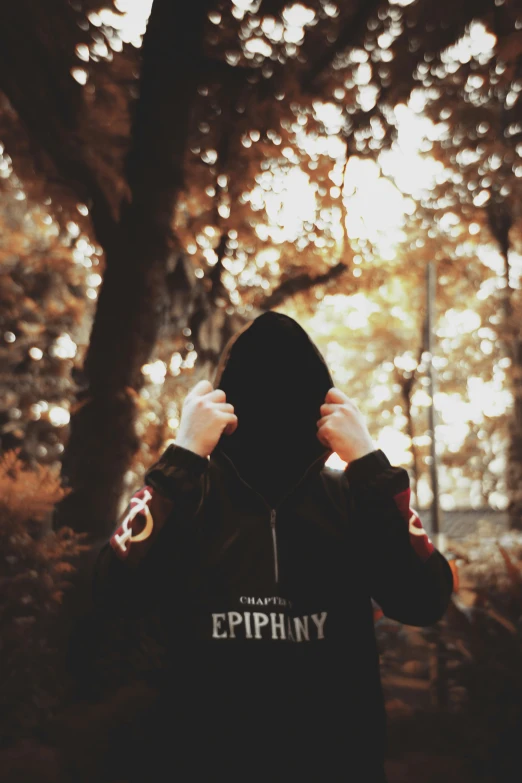 person standing in the woods looking into a tree