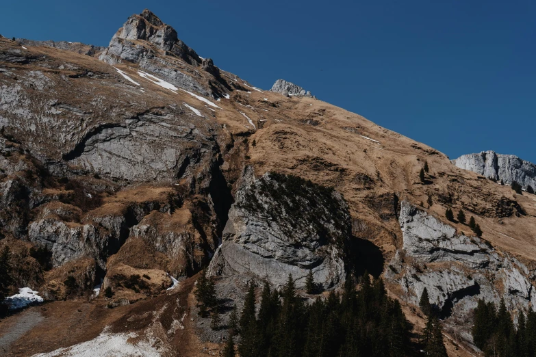 a snowy mountain side with lots of trees on it