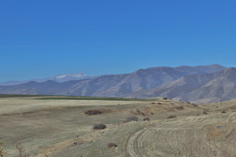 a landscape of dry grass and mountains in the background