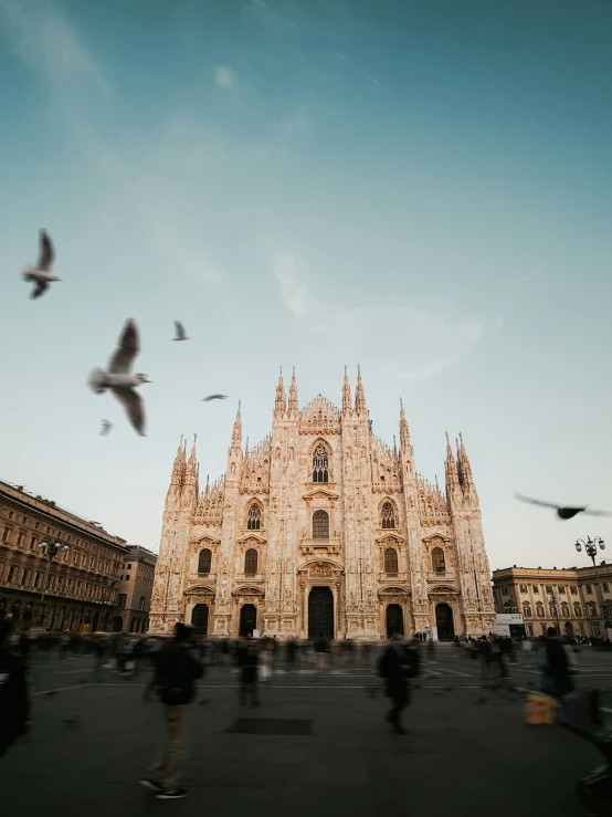 pigeons fly near an ornate cathedral in the city