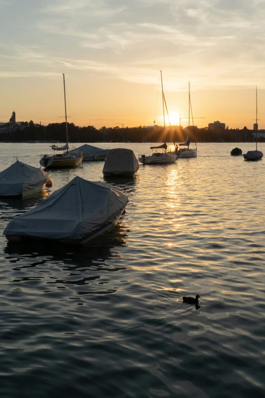 a number of small boats on a large body of water