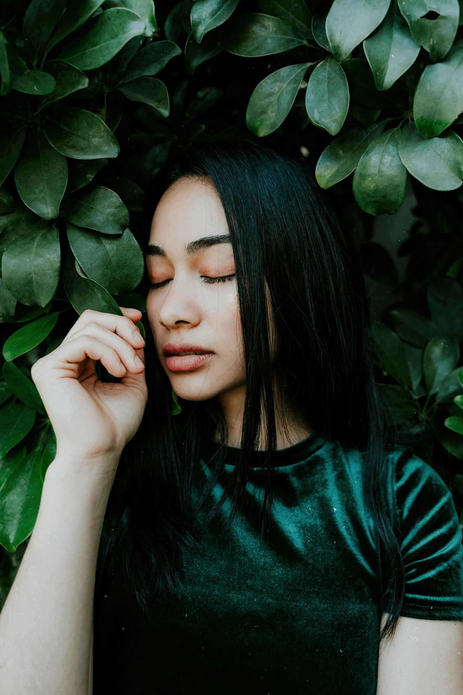 a young woman sitting in front of a green plant