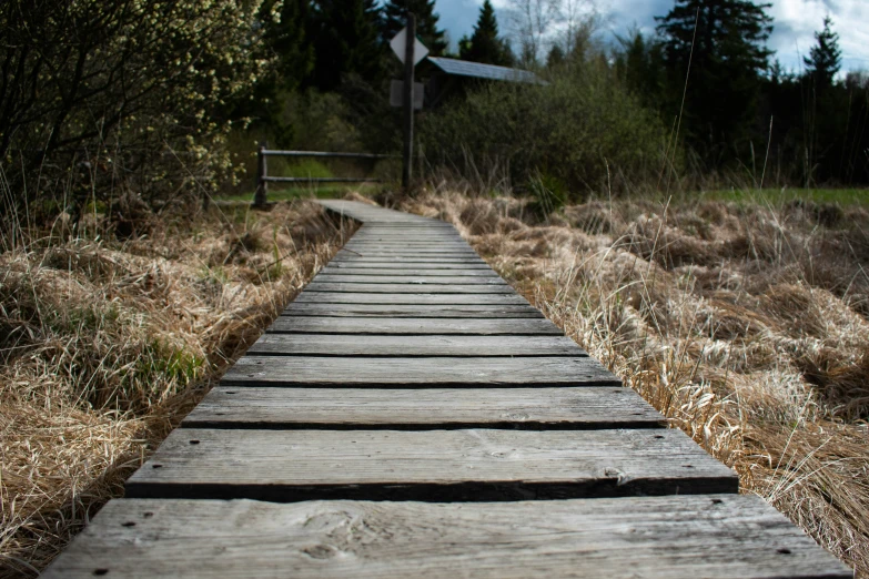 a wooden pathway is surrounded by dry grass