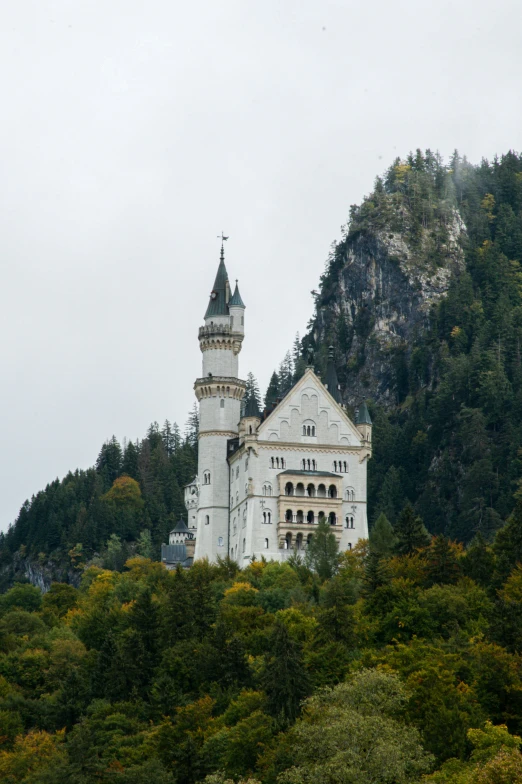 the building with towers has two spires on it