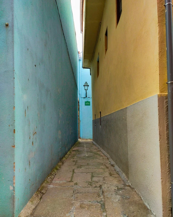 the narrow alleyway between two buildings has a metal gate