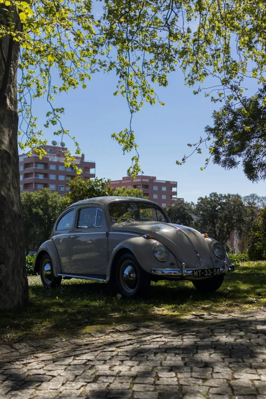 a gray car sitting under a tree in the grass